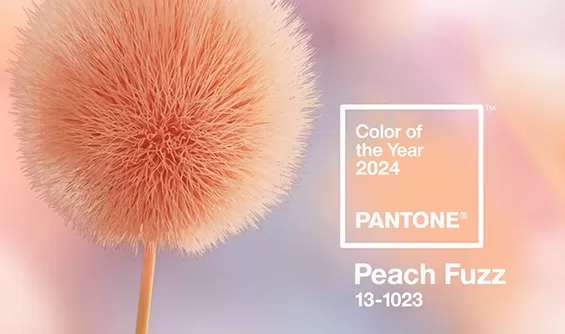 PANTONE. Цвет 2024 года!